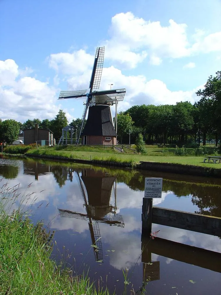 De Groeve: De Boezemvriend De Groeve